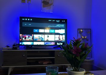 استديو بسرير فردي وجلسة جانبية