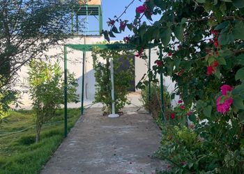 استراحة بجلسة خارجية ومجلس 