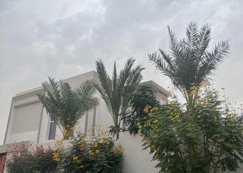 شقة بغرفتين نوم وصالة 