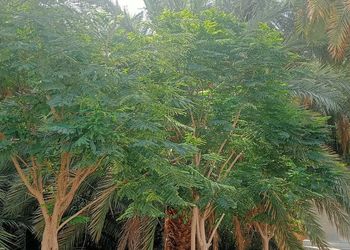 استراحة بجلسة خارجية و مجالس