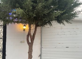 شاليه بجلسة خارجية و مسطح اخضر