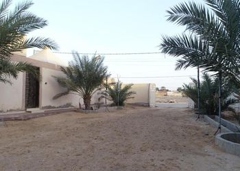 استراحة بمجلس واسع ومسطح اخضر 
