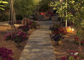 استراحة بمسطح اخضر ومجالس