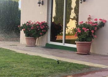 استراحة ومسطح اخضر 