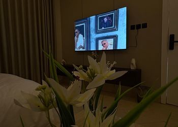 استديو بسرير ماستر وجلسة جانبية
