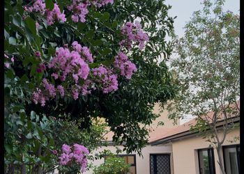 شاليه بمسطح اخضر