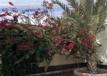 شاليه بجلسة خارجية وألعاب اطفال