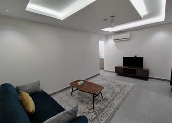 شقة بغرفة نوم وغرفة معيشة 