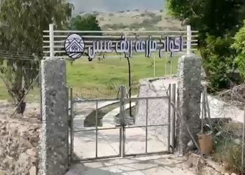 مزرعة بمسطح اخضر