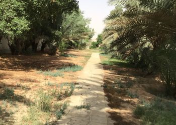مزرعه بجلسات خارجيه وبيت شعر 