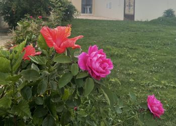 مزرعة بمسبح مطل على الحديقة
