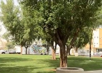 استديو بسرير ماستر ودخول ذاتي