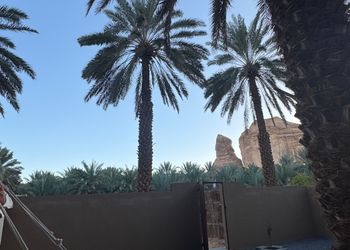 مزرعة بإطلالة على الجبل