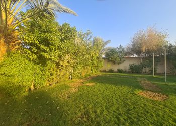 شاليه بركن شواء 