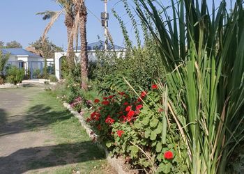 استراحة بثلاث غرف نوم داخل مزرعة 