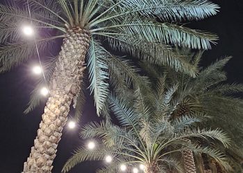 استراحة بمسبح مطل على الحديقه