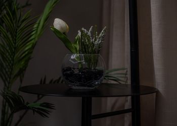 استديو هادئ بسرير ماستر 