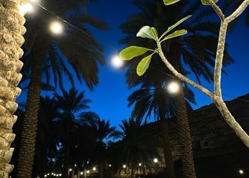 مزرعة 1 بجلسة مطلة على الجبل 