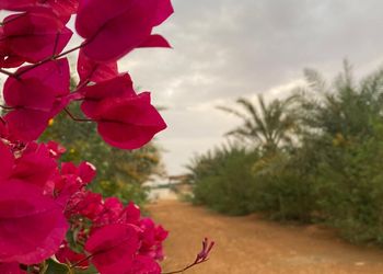 مزرعة بجلسة ارضية والعاب اطفال