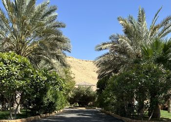 مزرعة بجلسه خارجيه مطله عالنخيل 