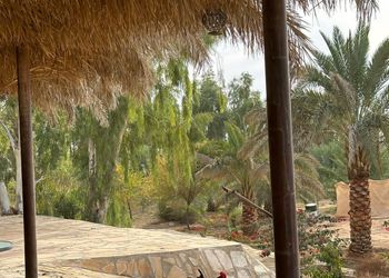 مزرعة ببيت شعر وجلسة خارجية