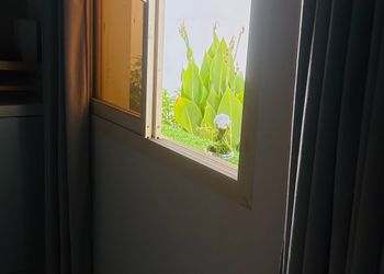 شقة بغرفة نوم وفناء خارجي 