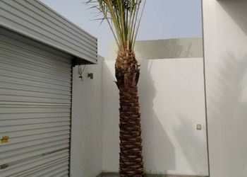 شقة بغرفتين نوم وصالة 