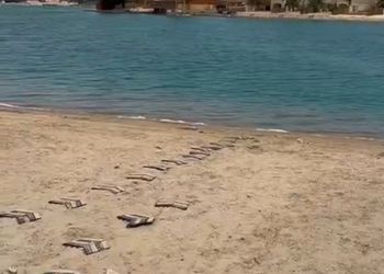 شاليه بمسبح خارجي وأجواء ممتعة 