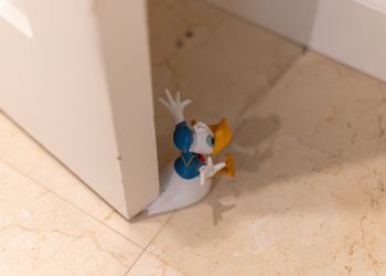 شقة بغرفتين نوم وصالة 