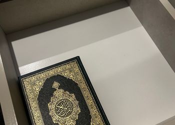 شقة بغرفة نوم وصالة 