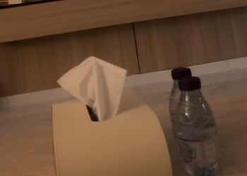 شقة بغرفتين نوم وصالة 