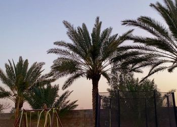 شاليه بجلسة خارجية وغرف نوم 
