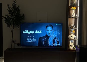 شقة بغرفة نوم وصالة 