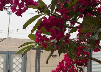 شالية بمجلس مطل على المسبح 