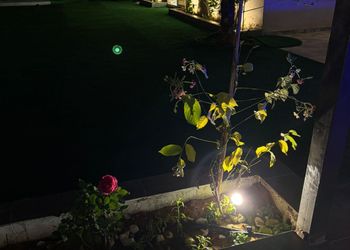 شاليه بمسطح اخضر ومسبح 