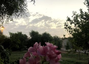 استراحة بجلسة خارجية ومسطح اخضر