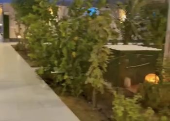شاليه بجلسة تطل على مسبح خارجي 