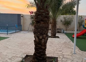 شالية بجلسة خارجية والعاب اطفال
