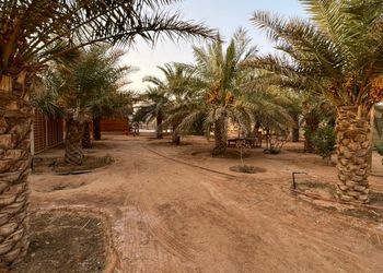 استراحةبجلسة خارجية وألعاب أطفال