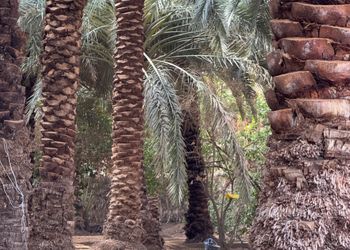 استراحة بصاله أنيقة وجلسة خارجية