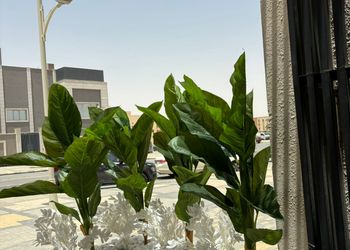 استديو بسرير ماستر 
