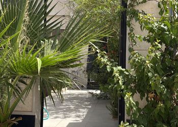 استراحه فاخره
