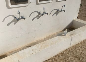استراحة بجلسة خارجية ومجلس 