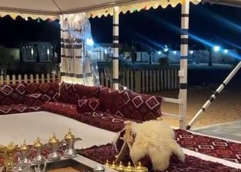 استراحة بجلسة خارجية و مجالس