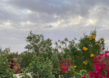 مزرعة بجلسة ارضية والعاب اطفال