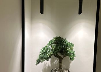 Apartment with 3 Bedroom