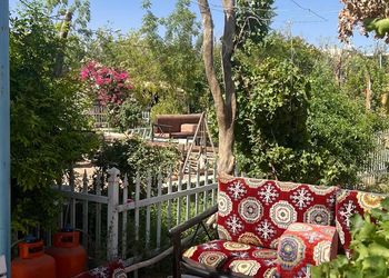 منتجع مع منطقه سفاري