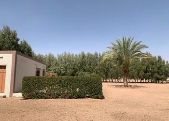 استراحة بمجلس داخل مزرعة