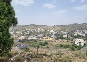 شقة باطلاله على الحديقه 