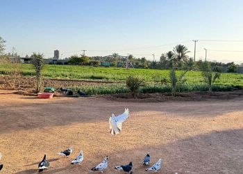 مزرعة بمناظر خلابة وجلسة خارجية 